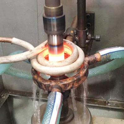 Wise Chain Conveyor